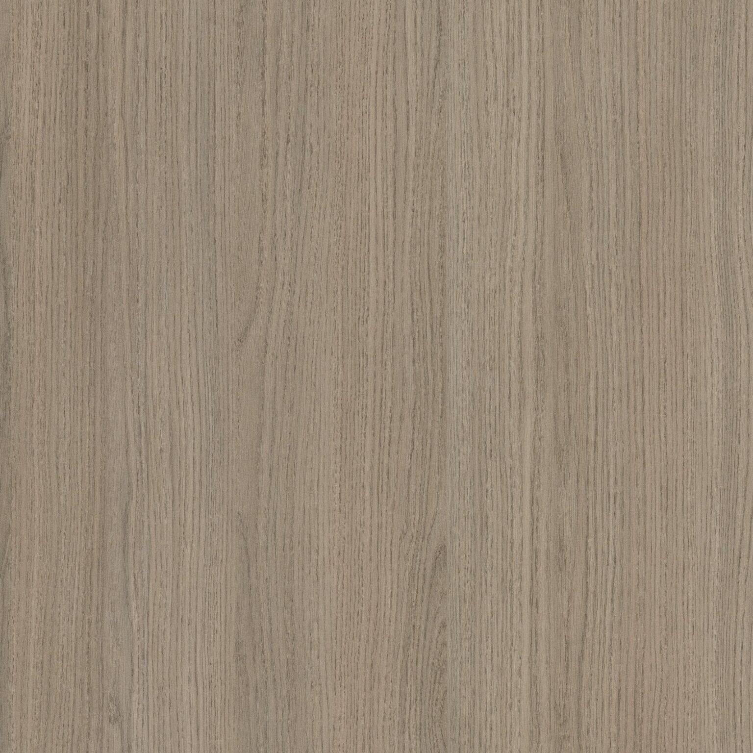 Tablero Melamina Egger Roble Vicenza gris H3158 ST19 | Catálogo Maderas