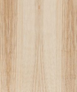 Rechapado Project Line ASH-CORE